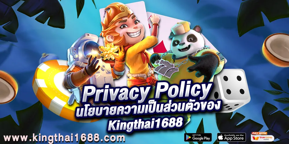 Privacy Policy 